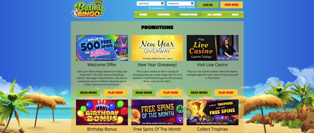 balmy bingo promotions